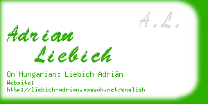 adrian liebich business card